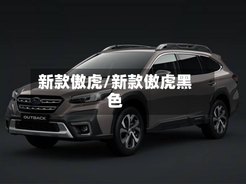 新款傲虎/新款傲虎黑色