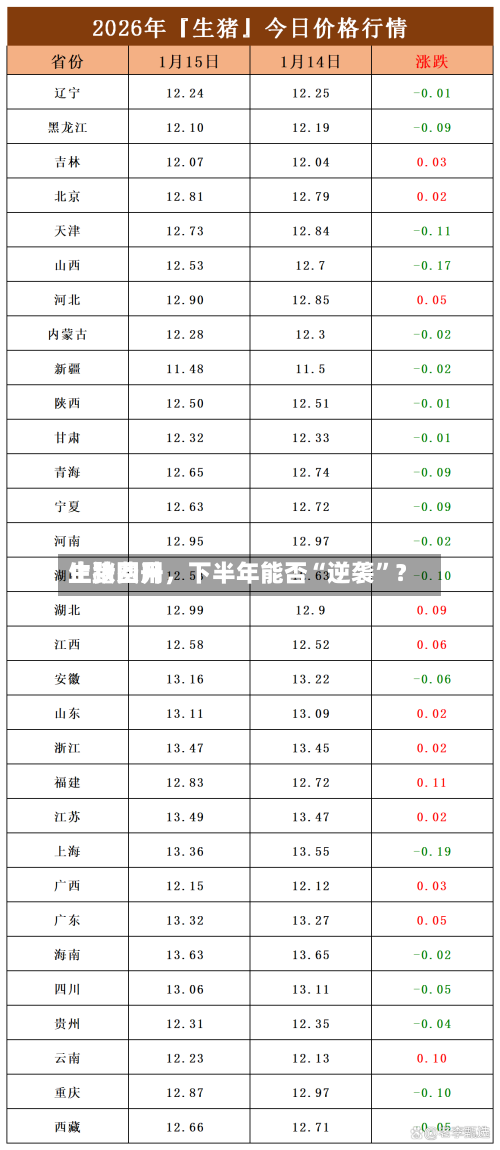 生猪费用止跌回升，下半年能否“逆袭”？-第2张图片