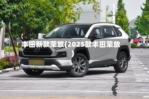 丰田新款荣放(2025款丰田荣放)-第2张图片