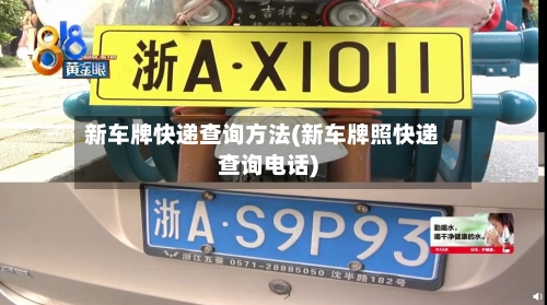 新车牌快递查询方法(新车牌照快递查询电话)-第2张图片