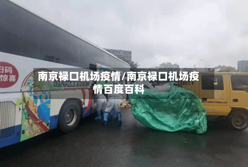南京禄口机场疫情/南京禄口机场疫情百度百科-第2张图片