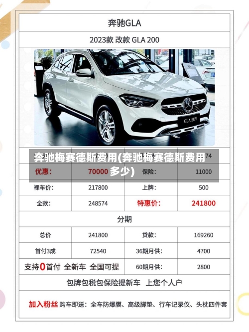 奔驰梅赛德斯费用(奔驰梅赛德斯费用多少)