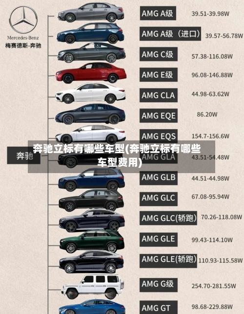 奔驰立标有哪些车型(奔驰立标有哪些车型费用)