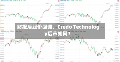 财报后股价回调，Credo Technology后市如何？