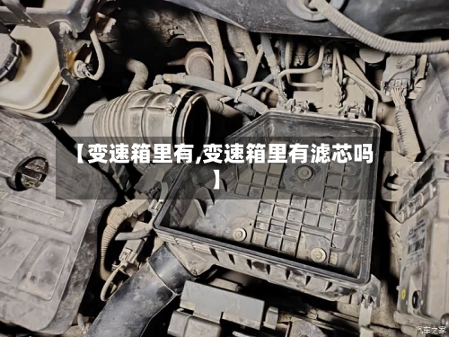 【变速箱里有,变速箱里有滤芯吗】