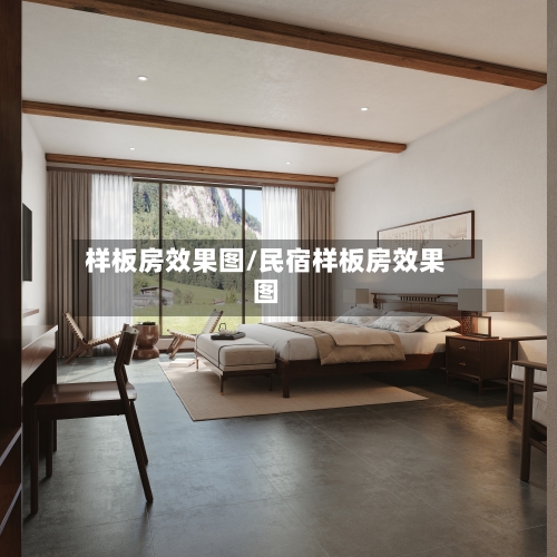 样板房效果图/民宿样板房效果图