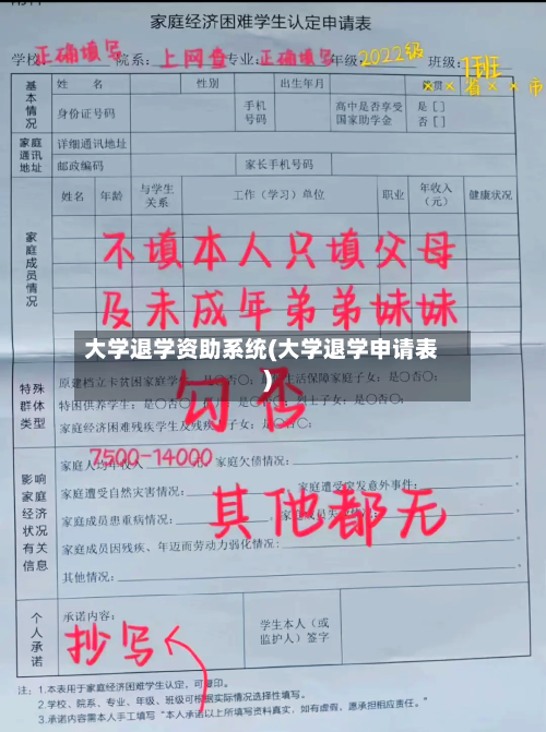 大学退学资助系统(大学退学申请表)