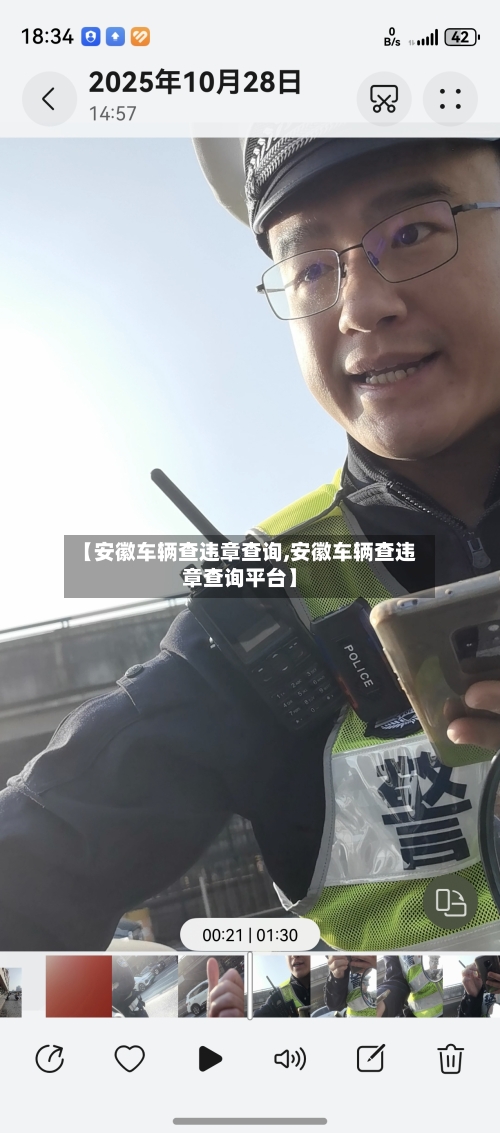 【安徽车辆查违章查询,安徽车辆查违章查询平台】