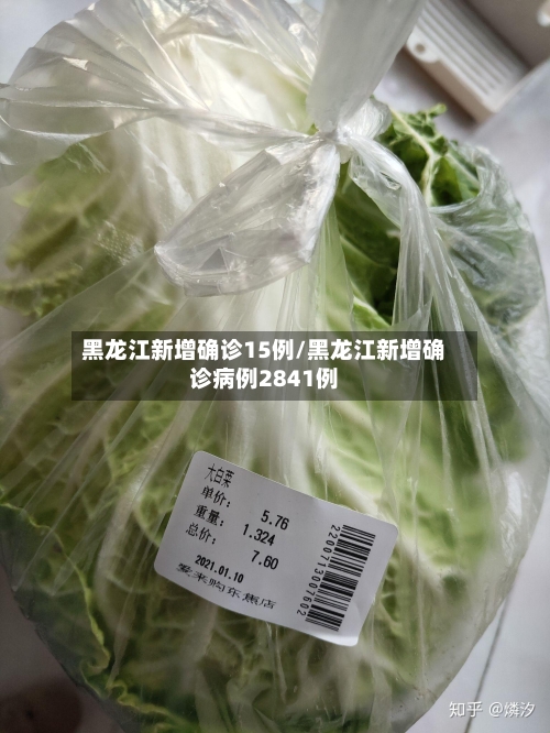 黑龙江新增确诊15例/黑龙江新增确诊病例2841例-第2张图片