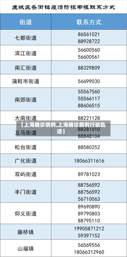 【上海确诊病例,上海确诊病例行动轨迹】-第2张图片