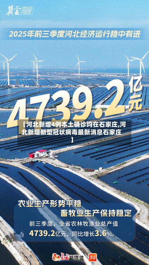 【河北新增4例本土确诊均在石家庄,河北新增新型冠状病毒最新消息石家庄】-第2张图片