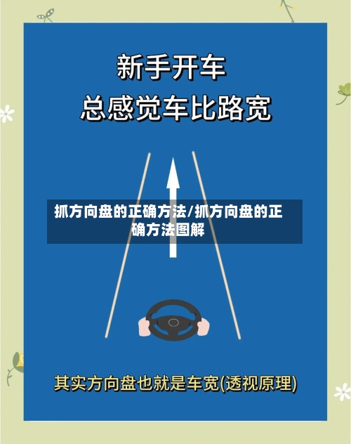 抓方向盘的正确方法/抓方向盘的正确方法图解