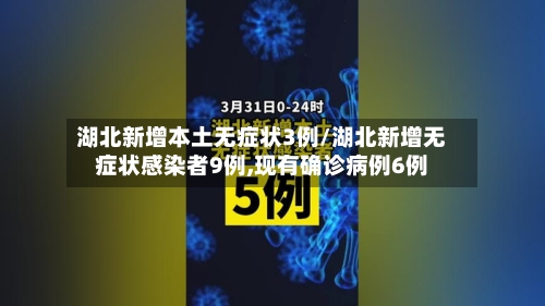 湖北新增本土无症状3例/湖北新增无症状感染者9例,现有确诊病例6例-第2张图片