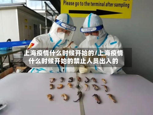 上海疫情什么时候开始的/上海疫情什么时候开始的禁止人员出入的