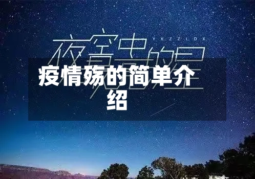 疫情殇的简单介绍