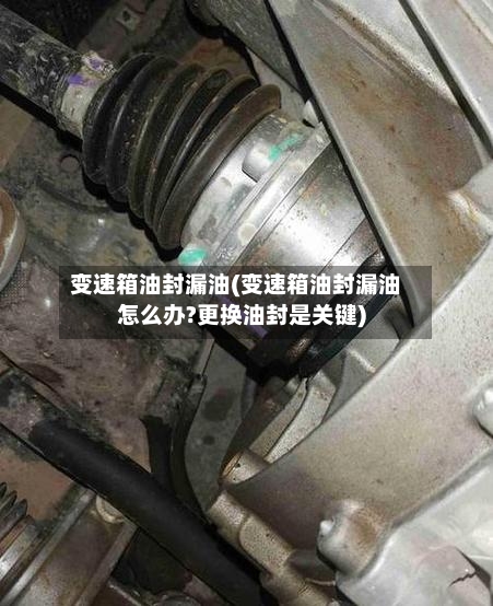 变速箱油封漏油(变速箱油封漏油怎么办?更换油封是关键)